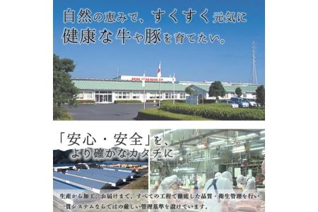 《数量限定》E701 最高級の鹿児島黒牛サーロインステーキ(2枚)・すきやきセット(総合計700g) 国産 九州産 鹿児島県産 牛肉 黒牛 黒毛和牛 和牛 ステーキ サーロイン リブロース スライス しゃぶしゃぶ すき焼き【湧水町JAあいら】_y191