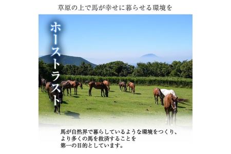 預託チケット！馬匹一頭の通常預託料1ヶ月分に相当するチケット(1枚) 馬 競走馬 競馬 乗馬 乗用馬 預託【NPO法人ホーストラスト】_y240