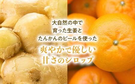 屋久島ジンジャーシロップ 大(200ml)×2本セット | 生姜