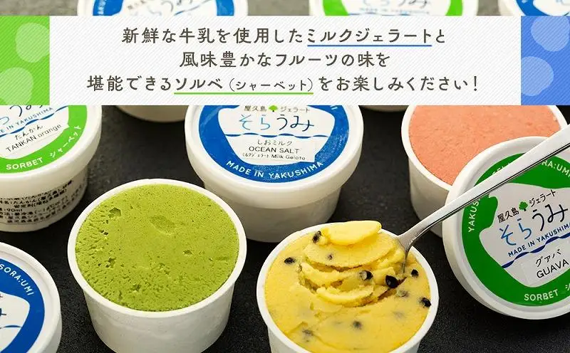 手作り ジェラート 12カップ 詰め合わせ セット＜屋久島産の新鮮食材を使用＞ | ジェラート ジェラート ジェラート ジェラート ジェラート