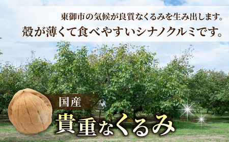 殻つきくるみ約1.4kg（2026年収穫分）｜JA信州うえだ東部地区営農課