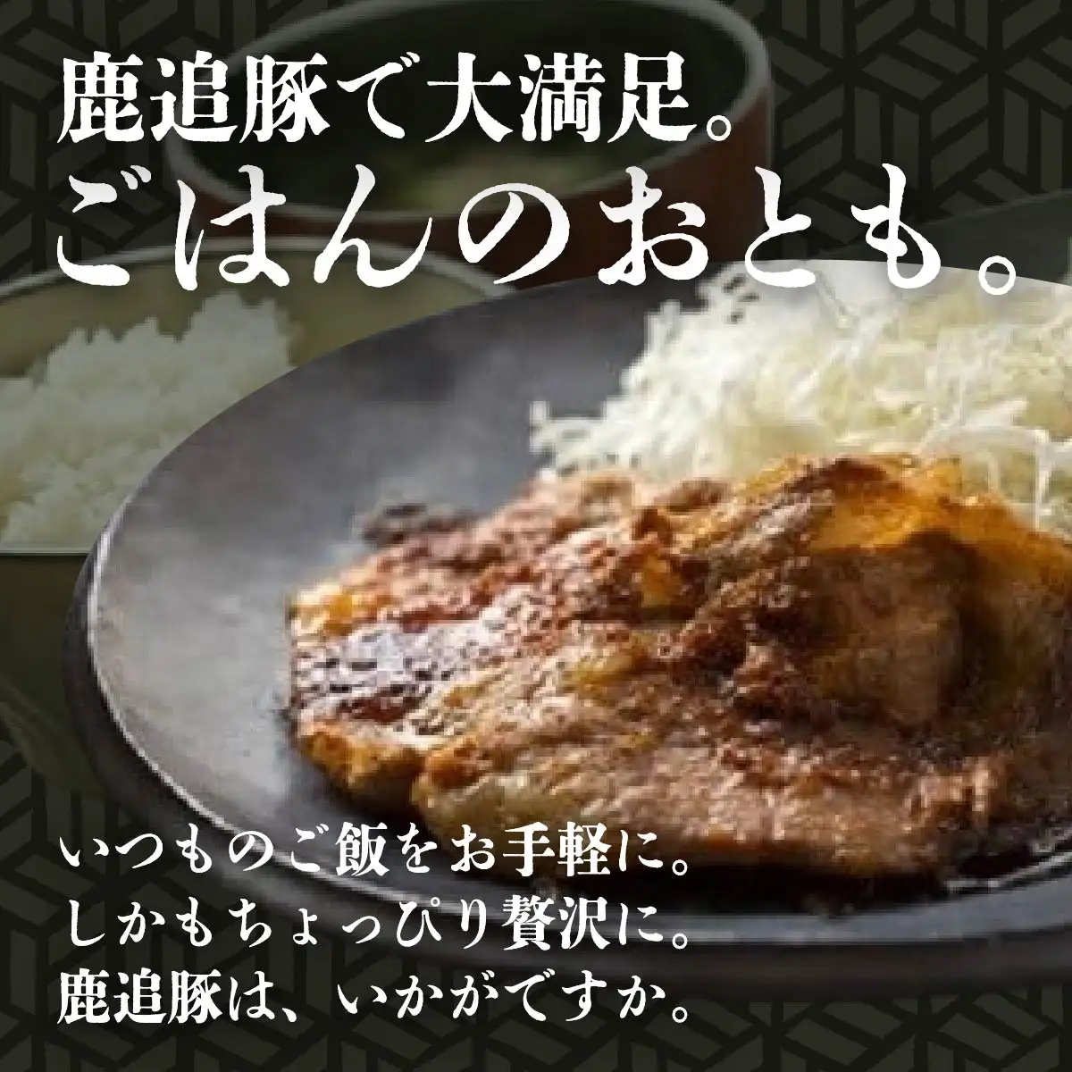 生姜焼き・豚ジンギスカン（鹿追Ｅセット） 【  北海道 鹿追町 送料無料 】 SKA002