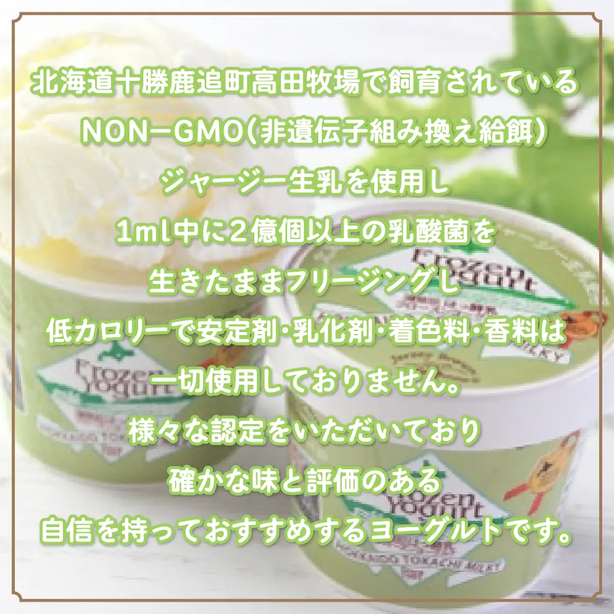 十勝ジャージー フローズンヨーグルト　10個セット SKM003 【  北海道 鹿追町 送料無料 】