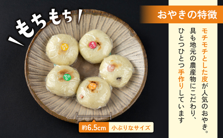 冷凍おやき５種　２０個セット |　長野県 おやき