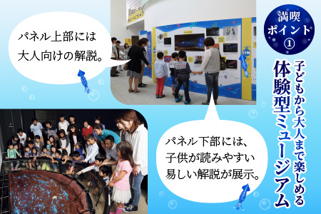 ほたるいかミュージアム入館券 / 4枚 
