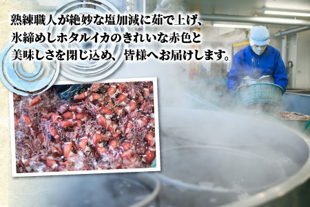 ほたるいか ボイル＆刺身セット【(有)カネツル砂子商店】※着日指定は備考欄へ　※26年3月中旬以降～ 順次発送中 ｜ ほたるいか 蛍烏賊 新鮮 富山県