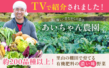 【16品 / 24回定期便】農薬に頼らない！カラダにやさしい「よしのがり野菜」セット（ラージ）[FAA011]
