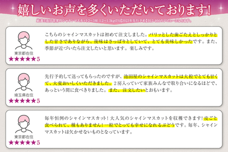 池田青果 厳選 シャインマスカット 1.2kg以上 2房～3房【2026年発送】（IS）B12-466 シャインマスカット フルーツ