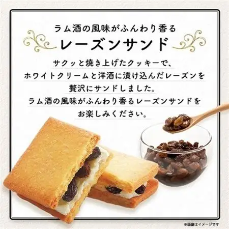【中山製菓】レーズンサンド30個入_菓子・スイーツ 焼き菓子  _【1141017】