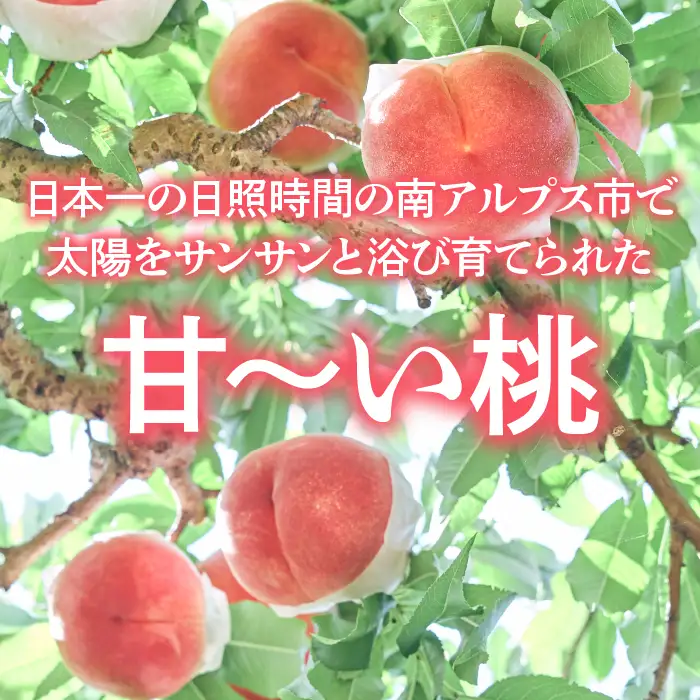 ＜2026年発送先行予約＞南アルプス市産もも 2kg以上（7玉～10玉） クール便発送 ALPAG006｜山梨県産もも 高評価もも 山梨のもも 白鳳 白桃 南アルプス市産もも ｜