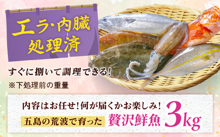 贅沢鮮魚セット3kg（エラ/内臓処理済） 五島市/五島FF[PBJ006] 冷蔵 鮮魚 魚介 刺身