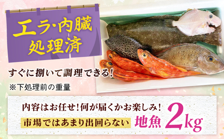旬の地魚セット2kg（エラ/内臓処理済） 五島市/五島FF[PBJ010] 