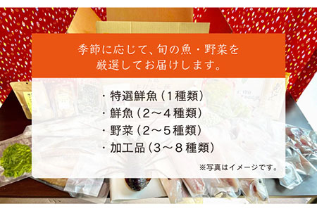 五島よかとこ便 特選鮮魚入り 野菜 加工品 おまかせ お楽しみ セット 五島市 / GOTO challenged 椿 [PDU002]