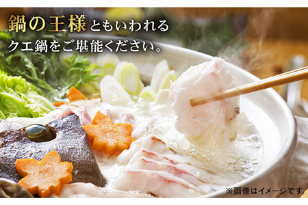 【数量限定】100セット限り 五島 クエ鍋セット 800g 刺身 ポン酢付き 五島市/心誠 [PCG001]