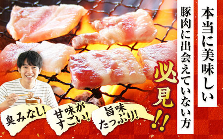 五島美豚焼肉1kg（ロース500g バラ500g） 五島市/ごとう農業協同組合[PAF003]   豚肉 ポーク 国産 肉 やきにく BBQ 九州