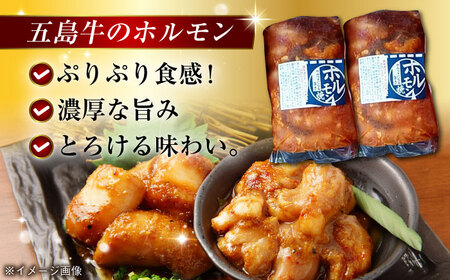 【五島のお肉3種】五島牛ホルモン＆五島豚ロースみそ漬＆五島豚スライスみそ漬 五島市/肉のマルヒサ[PCV010]   冷凍 国産牛 国産豚 ブランド 詰め合わせ
