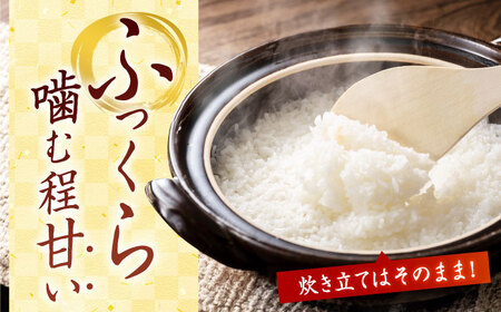 ミルキークイーン米5kg[PBN003]米 5kg ミルキークイーン