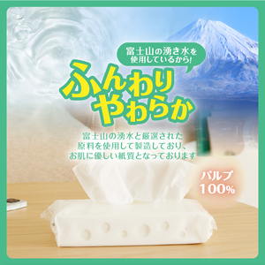 ソフトパックティッシュ 200個(5個×40袋) シンプルスタイル ティッシュペーパー [sf002-033]