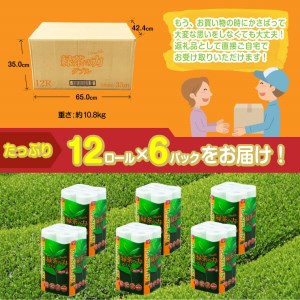 トイレットペーパー 「緑茶の力」 ダブル 72個 (12ロール × 6パック) (1ロール 35m) 長巻 ふっくら 柔らか エンボス 静岡 緑茶の香り ロングセラー ソフト 消臭 芳香 丸富製紙 富士市 日用品 生活用品 生活雑貨 防災 備蓄 香り・消臭 72ロール [sf002-065]