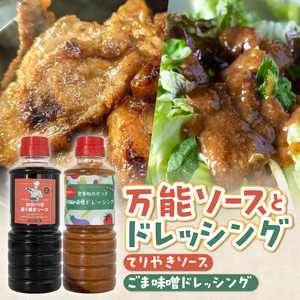 てりやきソース ごま味噌ドレッシング セット 各2本 360ml 計4本 お取り寄せ 万能調味料 アレンジ料理 家庭料理 簡単調理 漬け込み 献立 食卓 食事処おおつき 調味料 たれ 贈答 静岡県 富士市 [sf002-072]