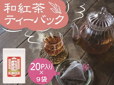 20-9 【定期便】川根紅茶 紐付きティーバッグ180個(20個入×3袋×3ヶ月)