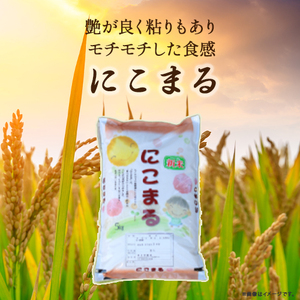 ◎令和7年産◎こだわりの味！人気の品種　井上米穀店さんの「にこまる」 農家 こだわり お米 ブランド米 ／Bib-B06