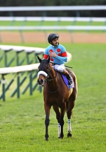 No.2010 競馬ジョッキー勝負服　タイプＡ