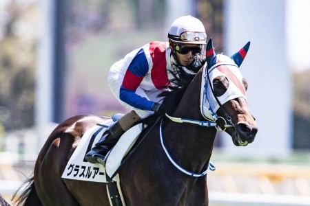 No.2011 競馬ジョッキー勝負服　タイプＢ