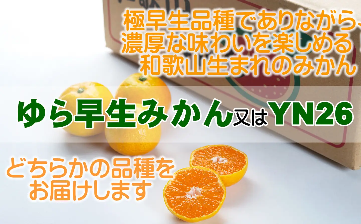 【極早生みかん】ゆら早生みかん 3kg 小玉サイズ（S・2S） 和歌山県海南市産 産地直送 YN26