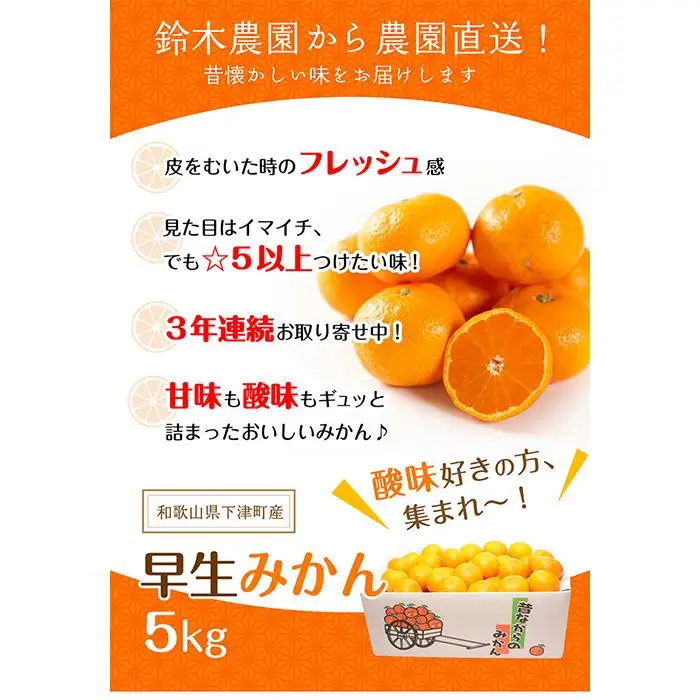 訳ありみかん 5kg 混合サイズ みかん 和歌山県海南市鈴木農園から直送