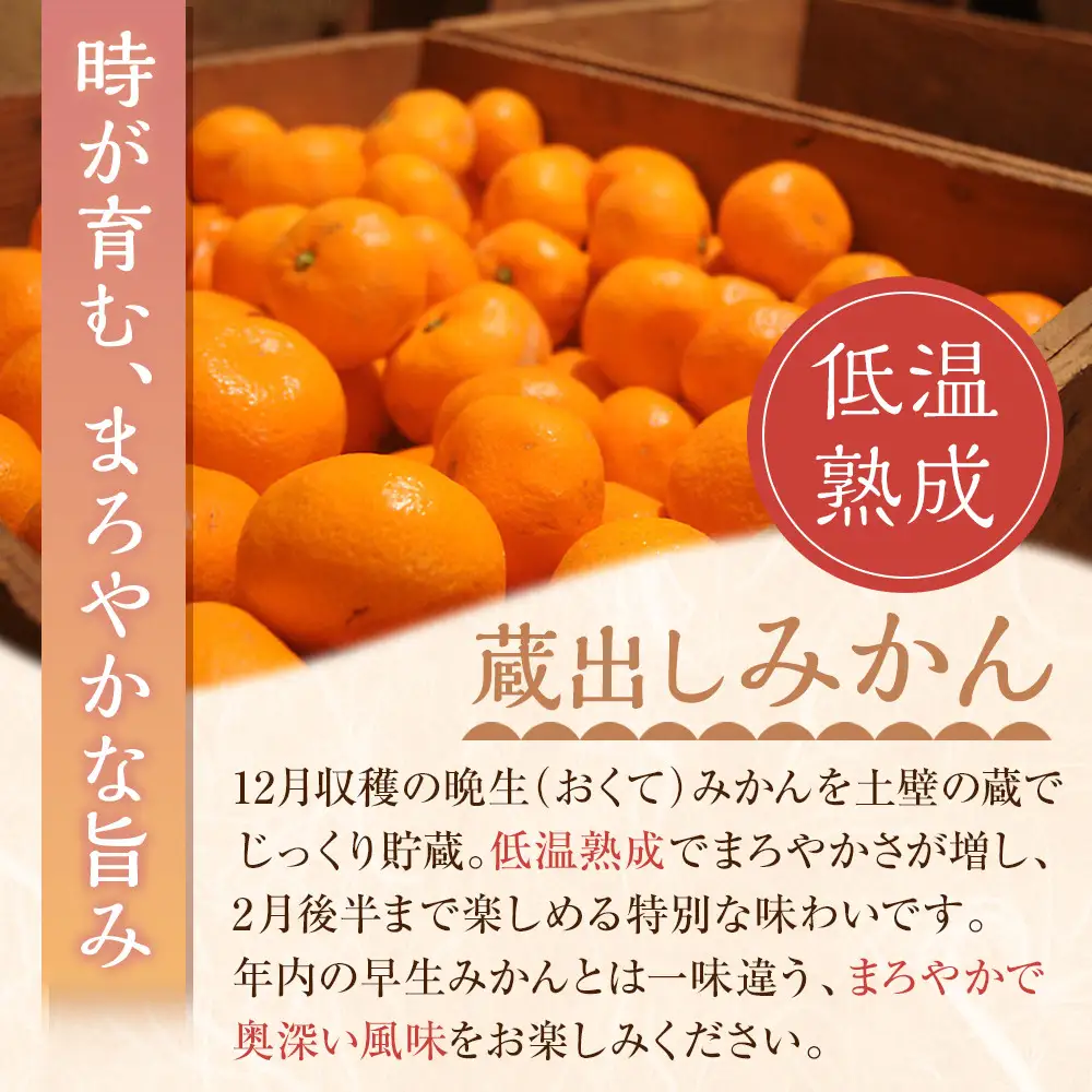 蔵出しみかん6kg《大玉》２L又は３Lサイズ【和歌山県産】昔ながらのみかん鈴木農園より農園直送｜LLサイズ ２Lサイズ 家庭用 大きいサイズ※北海道・沖縄県・一部離島 配送不可