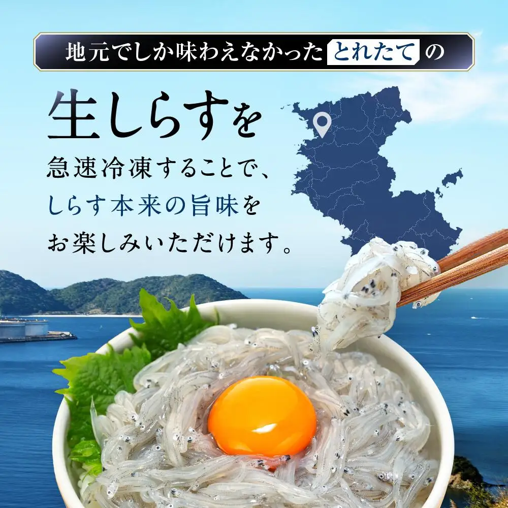 生しらす5食セット