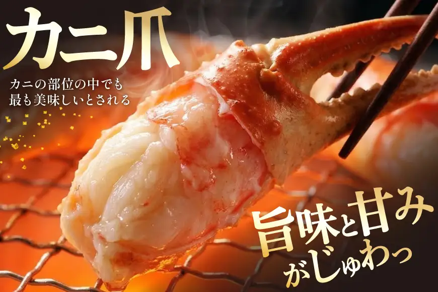 本ずわいがに 爪 約700g カニ 蟹 かに [宮城県 気仙沼市 20564321]