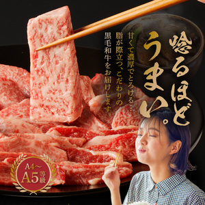 S001-026A_黒毛和牛 焼肉 カルビ ロース 切り落とし 500g A4 ～ A5 / ミシュランビブグルマン 獲得 黒毛和牛 焼肉用 ミックス 〜 等級 厚切り 牛肉 肉 牛 脂 旨い 霜降り サシ BBQ 肉丼 料理 たなか畜産 産地直送 冷凍 食品 お取り寄せ グルメ 熊本県 天草市 送料無料
