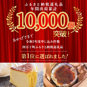 【定期便-12回お届け】バスクチーズケーキ ～四万十の米粉入り～／Rbmu-B60