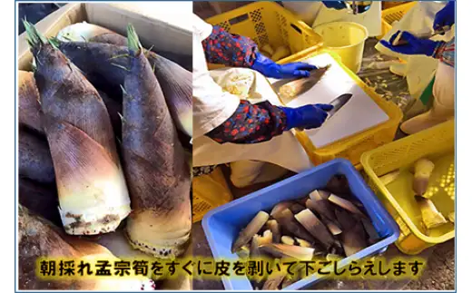 手軽に本場の美味しさが楽しめる【孟宗筍ごはんの素】4袋セット　たけのこ　炊き込みご飯　A06-502