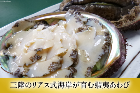アワビ 鮑 天然 蝦夷あわび パック 約1kg [たみこの海パック 宮城県 南三陸町 m304amh560080]
