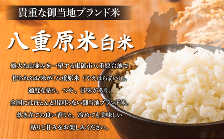 【寄附額改訂↓】令和8年新米予約【6回定期便】八重原米6kg（2kg×3袋）合計 36kg 白米　※2026年10月以降順次発送｜笹屋農園「農薬削減長野県認証取得」 先行予約 お米