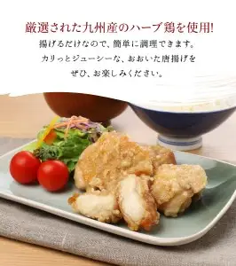 元祖おおいた唐揚げ　約2kg A03023