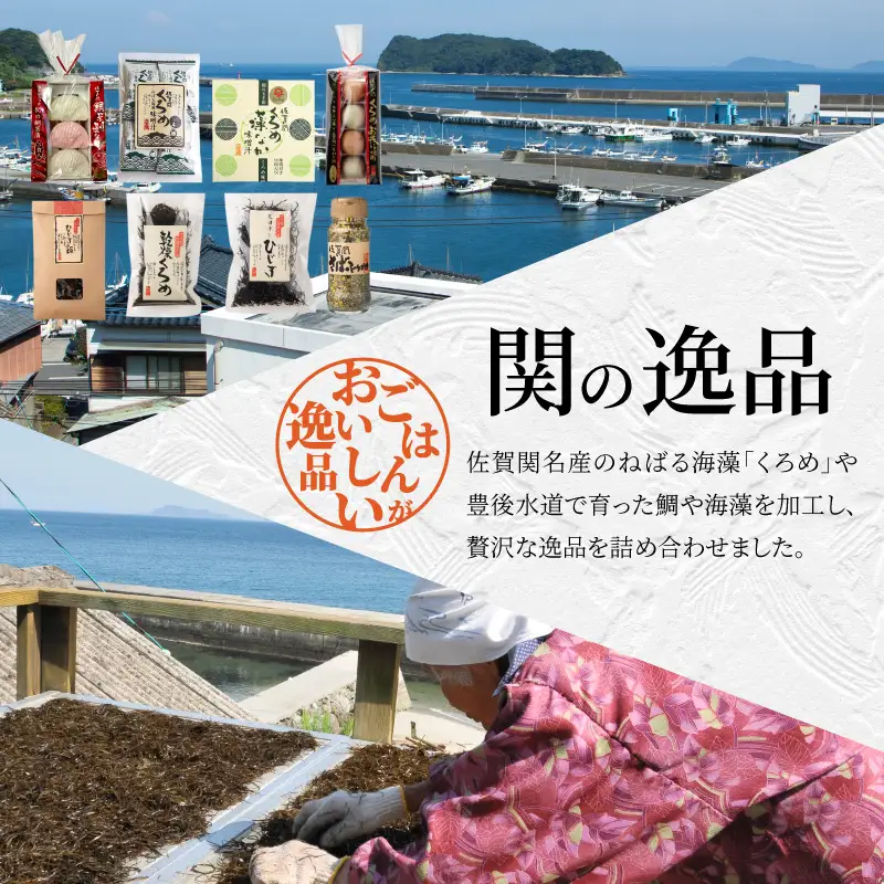 関の逸品 E22022