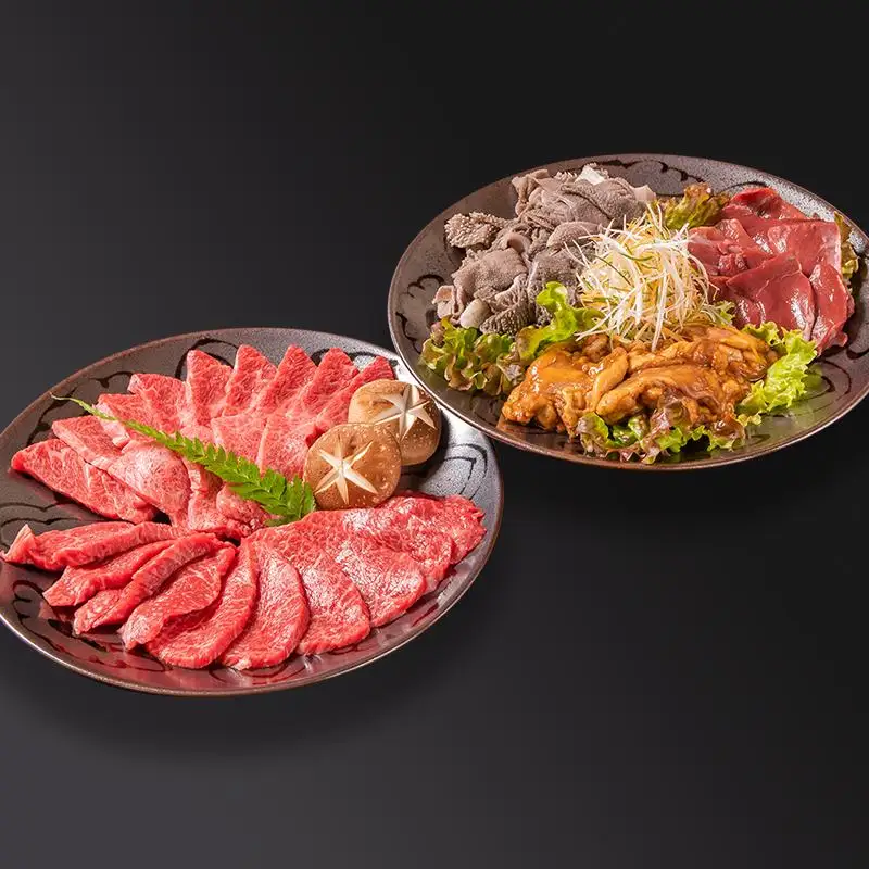 黒毛和牛「宮崎和牛 齋藤牛」 焼肉＆ホルモン ファミリーセット900g＜5-10a＞