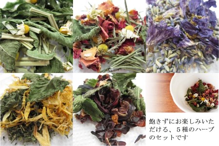 新鮮！ハーブ農園から直送　ハーブティ5種セット_CI02