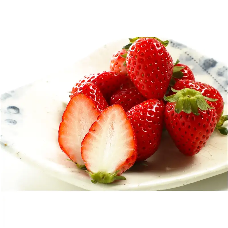 完熟いちご／果物	【数量限定】京都丹後産 完熟いちご（かおりの） 4パック（2026年3月中旬～発送）いちごパック・いちごセット・いちご詰め合わせ