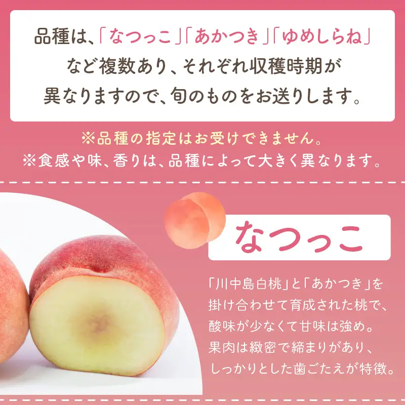 桃／フルーツ【数量限定】京都丹後産 桃 約2kg（6～8玉）（2026年7月中旬～発送）＜旬のおすすめ品種をお届け＞旬の桃・桃ギフト・もも・モモ・果物