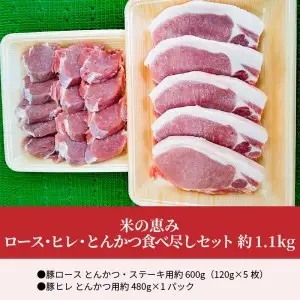 米の恵み　ロース・ヒレ・とんかつ食べ尽くしセット　約1.1kg A02023