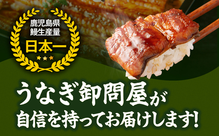 【 土用の丑の日特集 】 1387 大隅特産 うなぎ蒲焼 3尾（510g） KN060-001-03 魚 冷凍 鰻