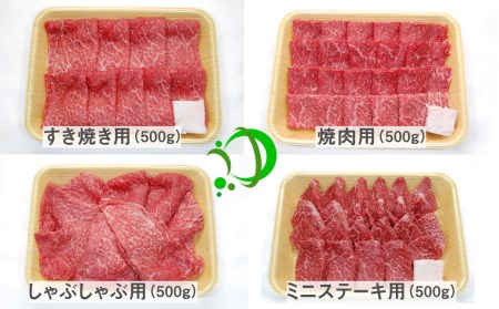 《定期便》飛騨牛 4回お届け 4ヶ月 焼肉 すき焼き しゃぶしゃぶ ミニステーキ 500g 5等級[Q603]