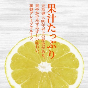 S053-001A_ジューシーオレンジ 7.5kg 河内晩柑〈先行予約〉 / 晩柑 ばんかん 柑橘 みかん フルーツ