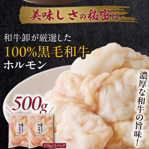 肉屋のもつ鍋セット　～和牛ホルモンの旨味編～_肉屋 もつ鍋 セット 旨味濃厚 牛もつ鍋 和牛ホルモン ホルモン 国産 牛肉 肉 和牛 旨味編 ?油ベース しょうゆ味 オリジナルスープ ちゃんぽん麺 小分け 冷凍 名物 お取り寄せ お取り寄グルメ ご当地グルメ 福岡県 久留米市 送料無料 〔Cn106〕