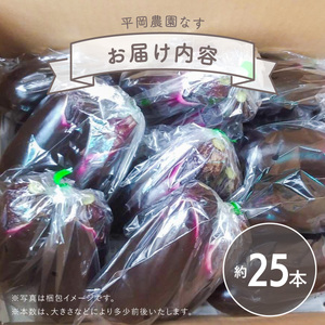 なす 約25本 茄子 ナス 産地直送 天敵栽培 【2026年7月以降順次発送】